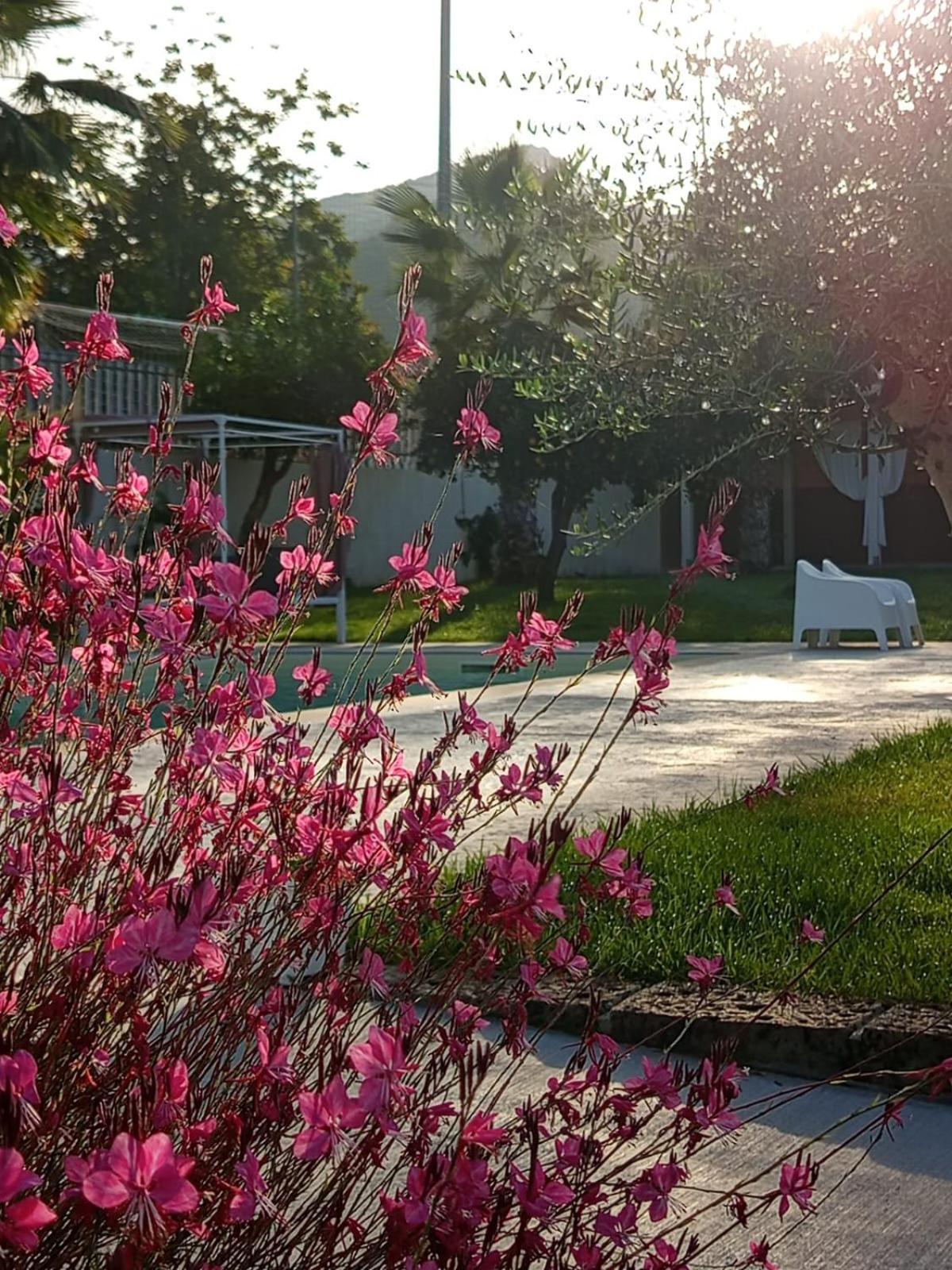 B&B Villa Limao Sarno Exterior foto